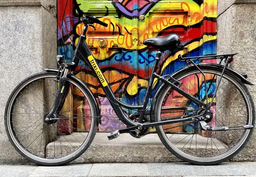 Madrid: City Highlights Private Bike Tour - Royal Palace and Plaza Mayor