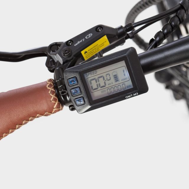 Madrid: Guided Electric Bike Tour. City center & Retiro Park - The Las Letras Quarter and Paseo del Prado