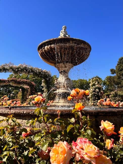 Madrid: Magic Retiro Park Bike Tour - Why a bicycle works well in Retiro Park