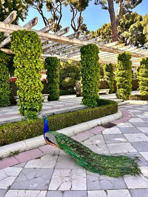 Madrid: Magic Retiro Park Bike Tour - Casa de Fieras and the park’s first zoo