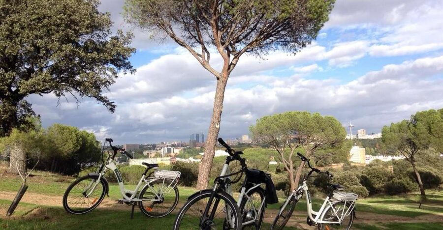 Madrid’s River Side & Casa de Campo Electric Bike Tour - Leaving the old city by electric bike