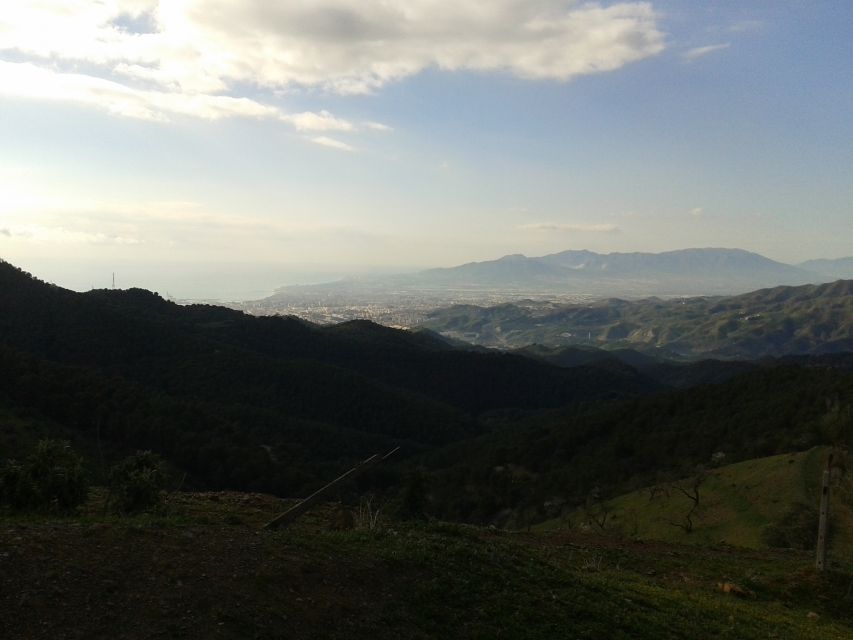 Málaga: 4-Hour Premium E-Bike Tour with Panoramic Views - The long downhill return through pine forest