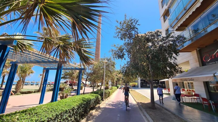 Malaga: City Bike Rental with Self-Guided Cycling Route - Who should book this?