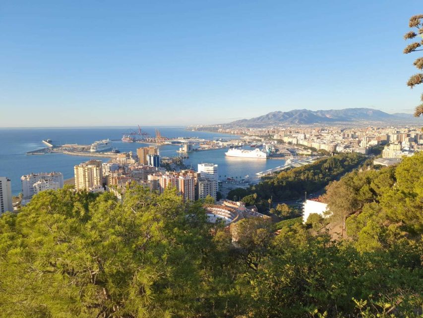 Malaga: Guided E-Bike Tour - What the guides add to the ride