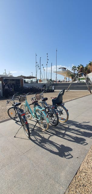 Malaga: Private Bike Rental - The Alcazaba and Picasso Museum