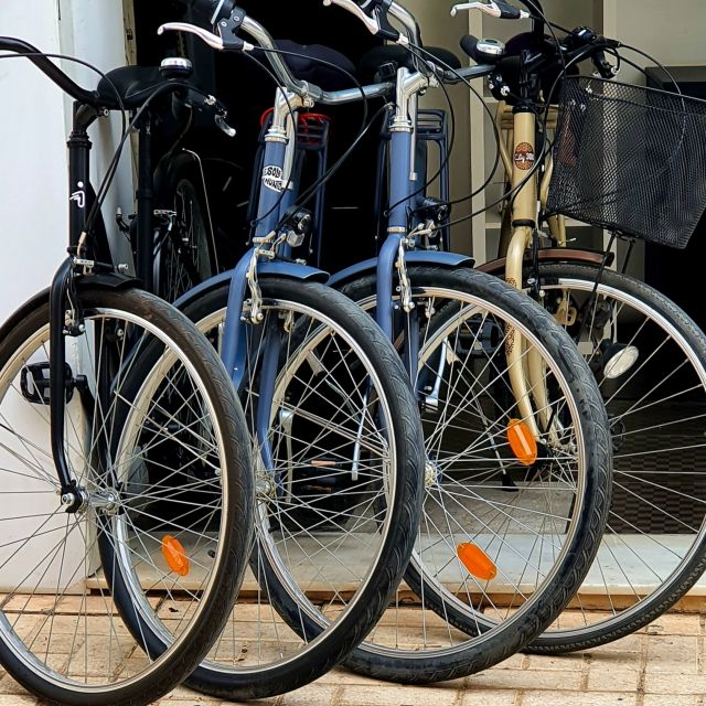 Malaga: Private Bike Rental - Independent riding instead of a guided tour