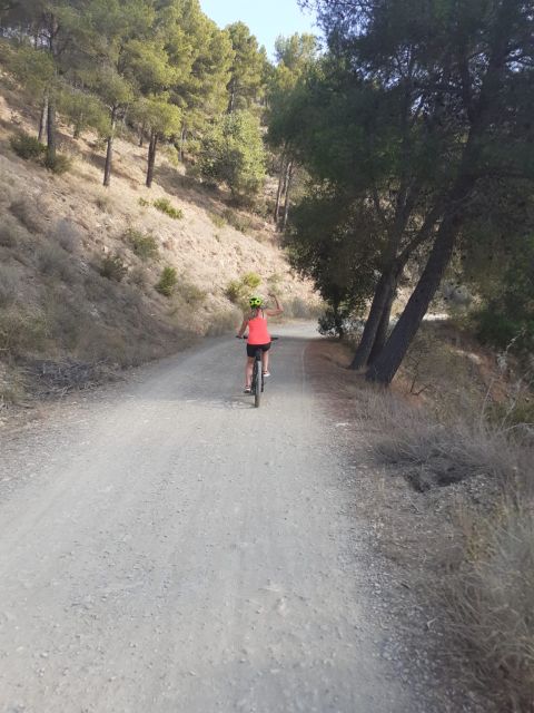 Málaga: Scenic Easy 3-Hour E-Bike Tour in Montes de Málaga - The High Point: Views Over Málaga and a Mountain Break