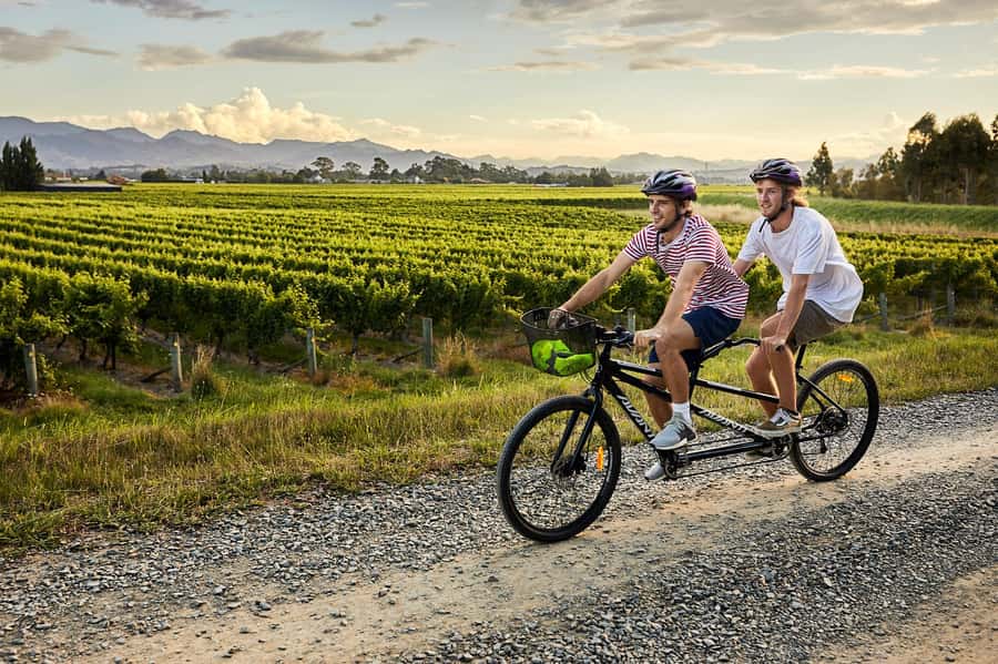 Marlborough: Full-Day Self-Guided Biking Wine Tour - Why Marlborough works so well by bicycle