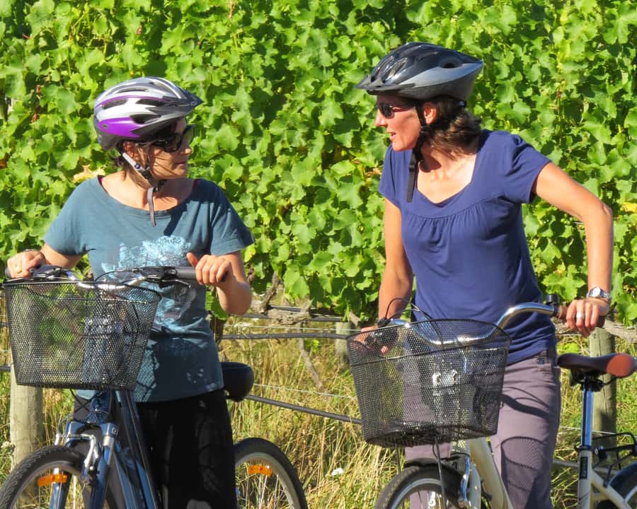 Marlborough: Half Guided and Half Self-Guided Bike Wine Tour - Why the guided morning matters in Marlborough