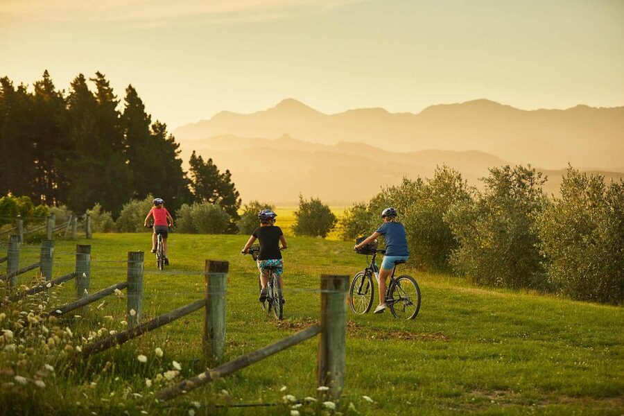 Marlborough: Half Guided and Half Self-Guided Bike Wine Tour - The value of a $110 wine and bike day