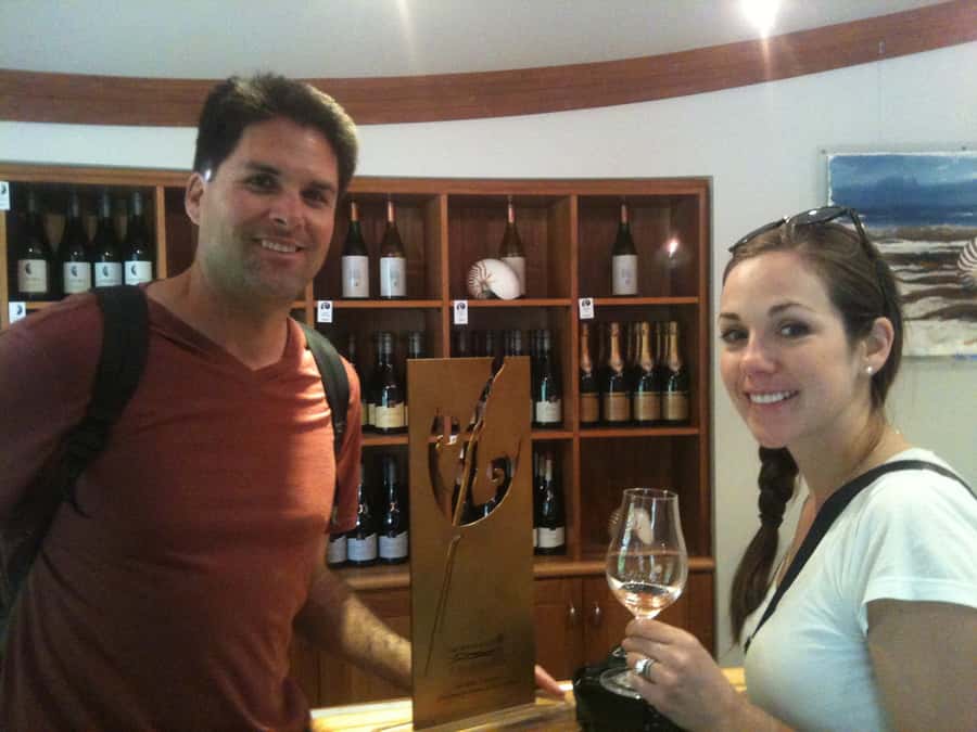 Marlborough: Half Guided and Half Self-Guided Bike Wine Tour - Weather, comfort, and the backup plan