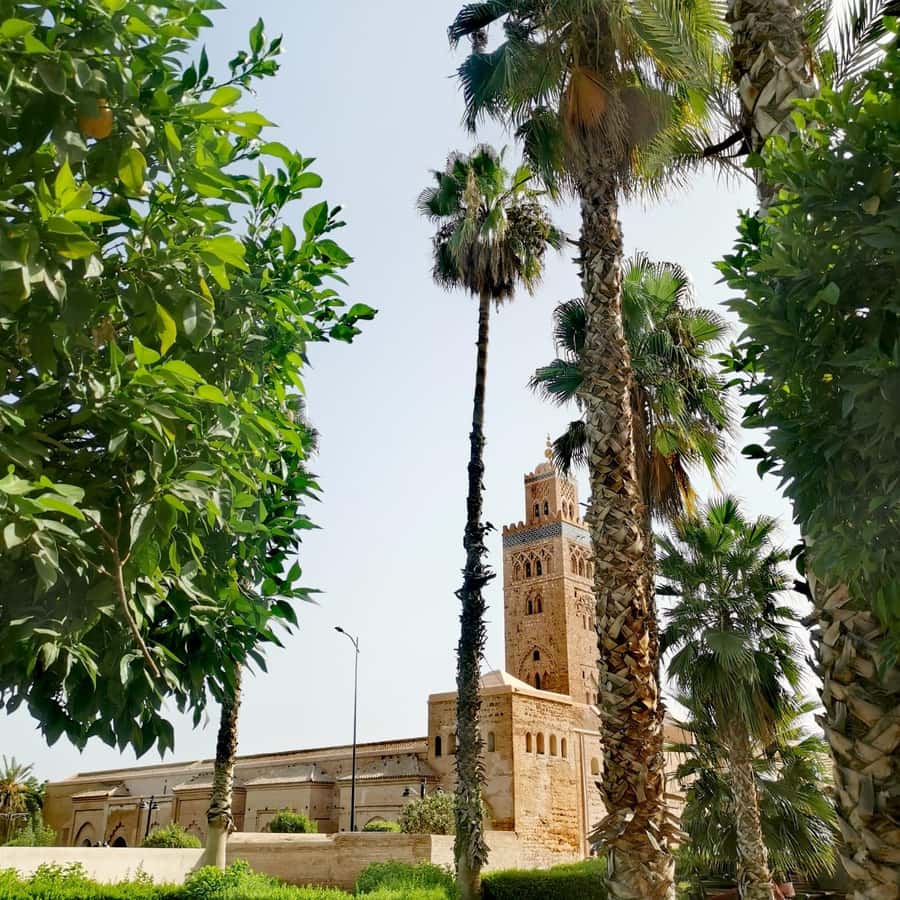 Marrakech: Guided Bike Tour with a local Guide - Jemaa el-Fnaa, the city’s noisy stage