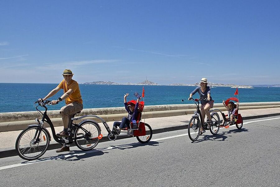 Marseille: City Highlights Guided Half-Day E-Bike Tour - The Old Port and the Pharo viewpoint