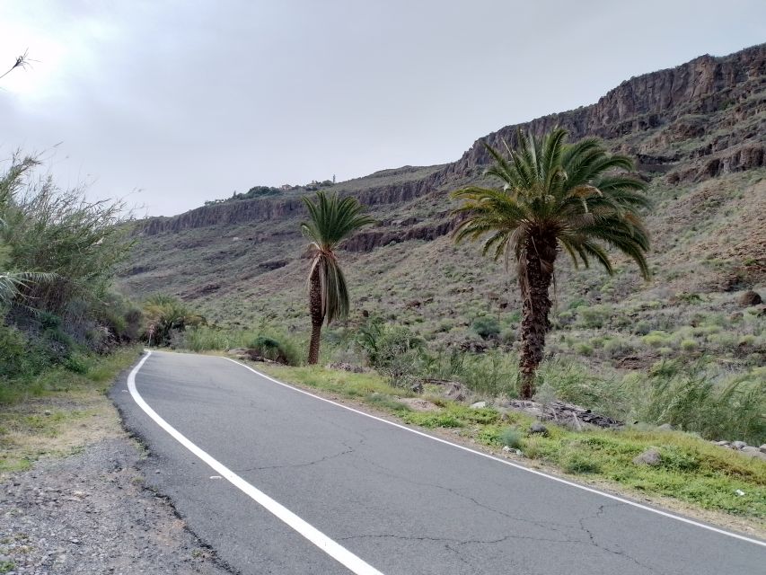 Maspalomas: Southern Coast E-Bike Tour Option Tapas Tasting - A Three-Hour Ride With More Than a Beach View