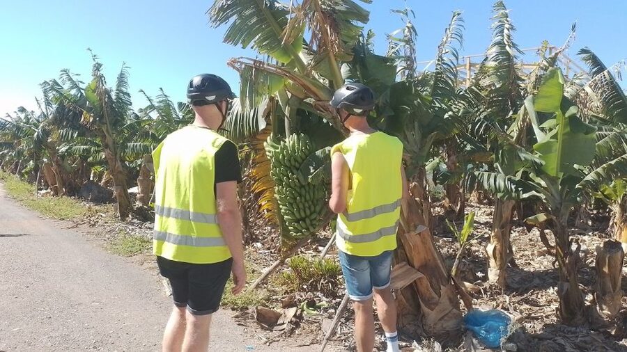 Maspalomas: Southern Coast E-Bike Tour Option Tapas Tasting - The Banana Plantation and Maspalomas Lighthouse
