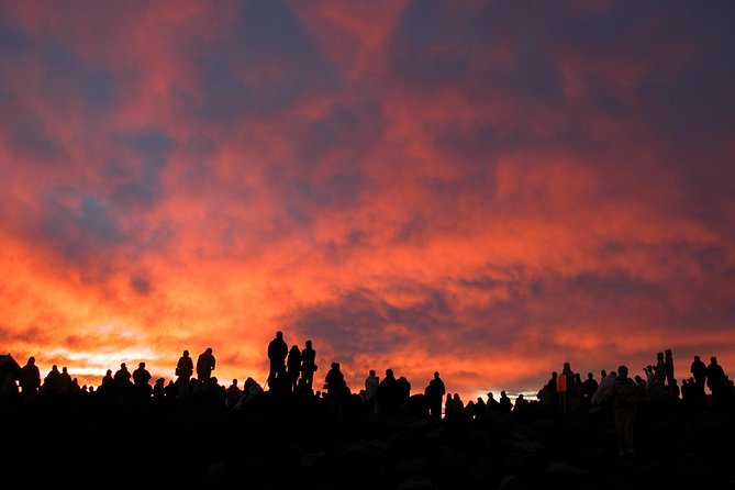 Maui Haleakala Sunrise Downhill Bike Tour with Mountain Riders Rated #1 - The national park is scenery first, biking later