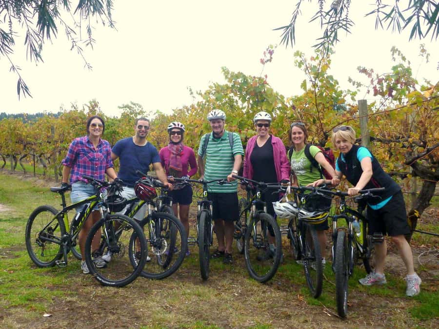 Mclaren Vale Hills Vines and Wines Bike Tour from Adelaide - Key points to know before you book