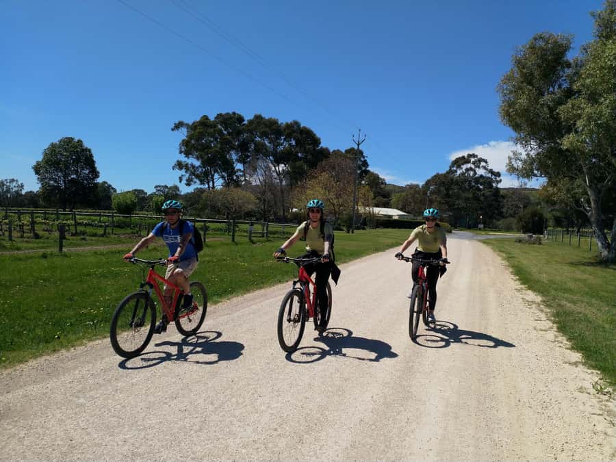 Mclaren Vale Hills Vines and Wines Bike Tour from Adelaide - A local produce platter for lunch