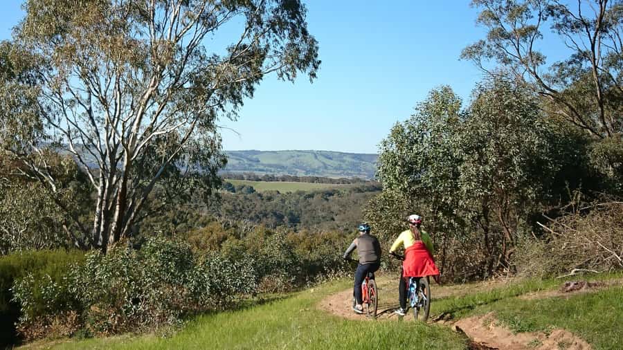 Mclaren Vale Hills Vines and Wines Bike Tour from Adelaide - Bikes, equipment, and the e-bike question