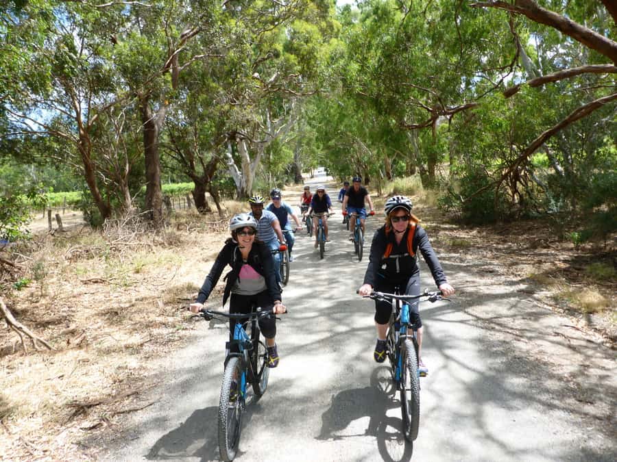 Mclaren Vale Hills Vines and Wines Bike Tour from Adelaide - How good is the value?
