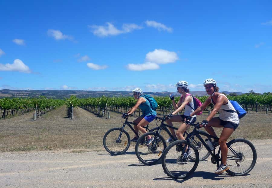 Mclaren Vale Hills Vines and Wines Bike Tour from Adelaide - Setting off through Kuitpo Forest