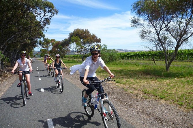 McLaren Vale Wine Tour by Bike - Key points at a glance