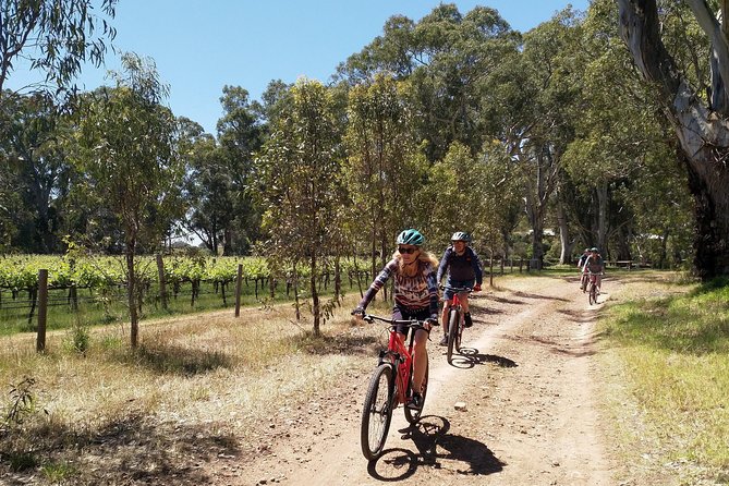 McLaren Vale Wine Tour by Bike - Two wineries, with room for smaller producers