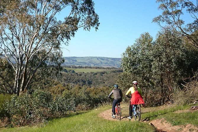McLaren Vale Wine Tour by Bike - A local produce lunch, not an afterthought