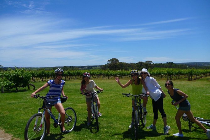 McLaren Vale Wine Tour by Bike - The small-group advantage