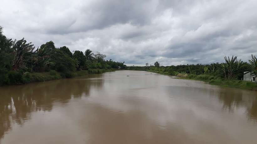 Mekong Day Tour by Car:Cai Be market, Local Island & Cycling - How the timing affects your day