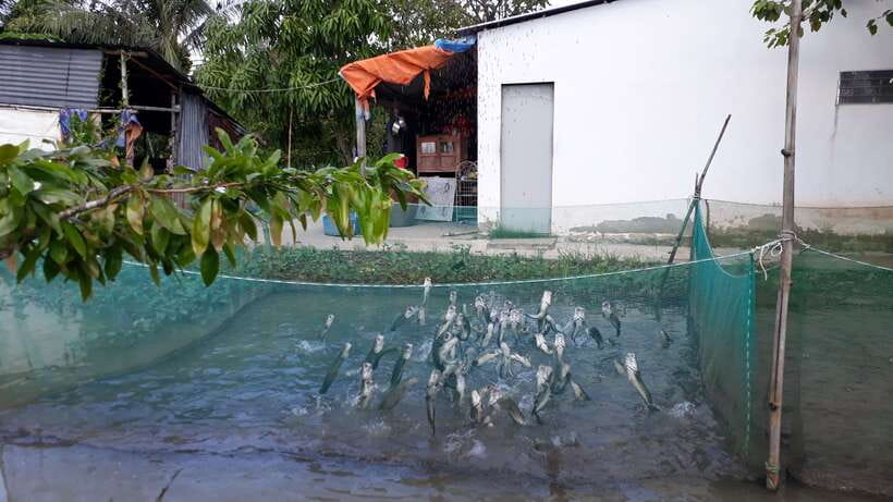 Mekong Day Tour by Car:Cai Be market, Local Island & Cycling - What the private format really adds