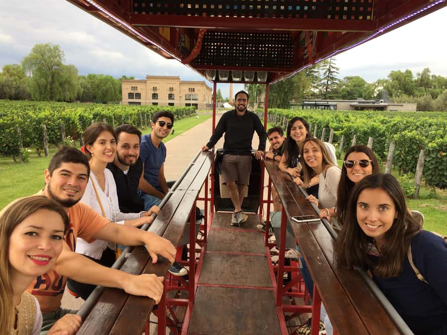 Mendoza: Winebike Tasting Tour with Optional Lunch - Pedaling through the vineyards with ham and cheese