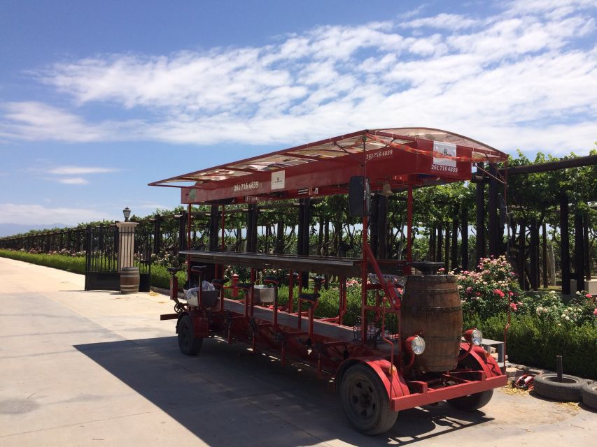 Mendoza: Winebike Tasting Tour with Optional Lunch - What $100 gets you in practical terms