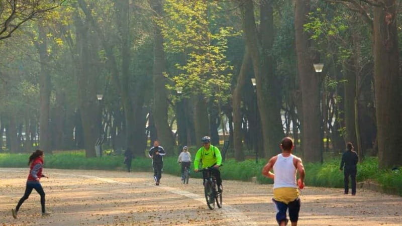 Mexico City: Private Chapultepec Park Bike Tour - Meeting at Estela de Luz at 8:30 a.m.