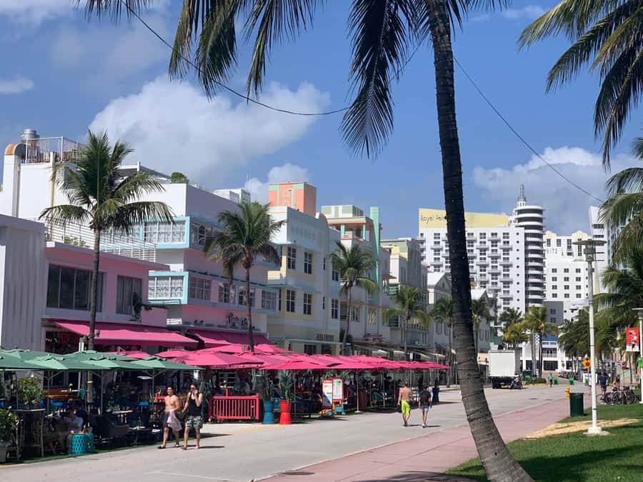 Miami: Bike Rental - Key points to know