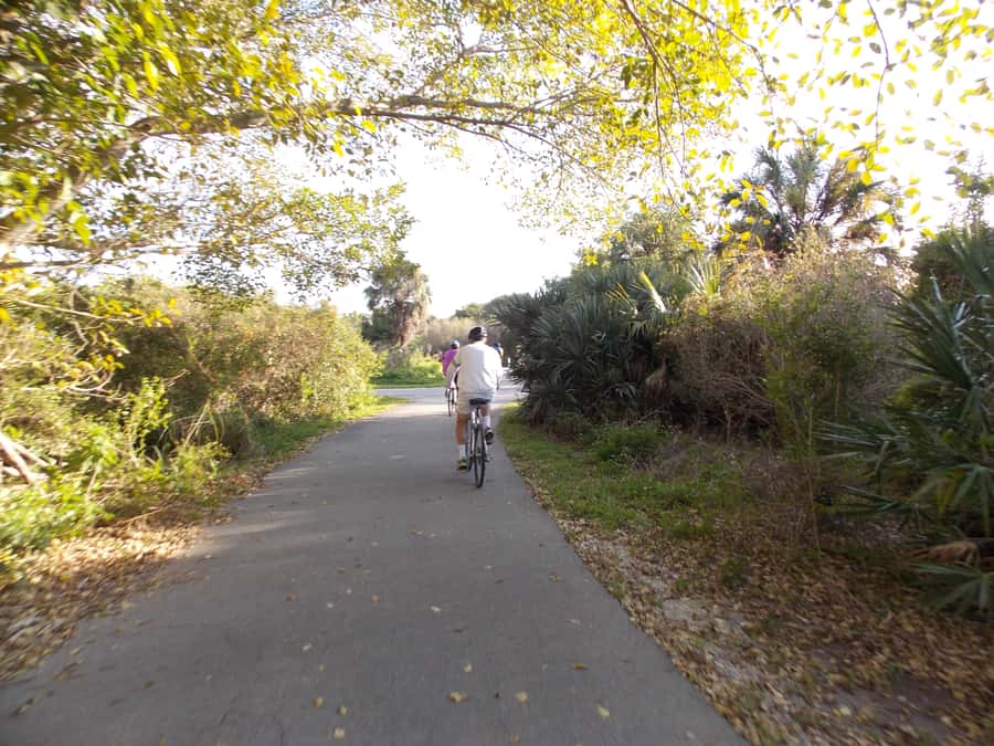 Miami: Bike Rental - What the rental includes, and what it does not