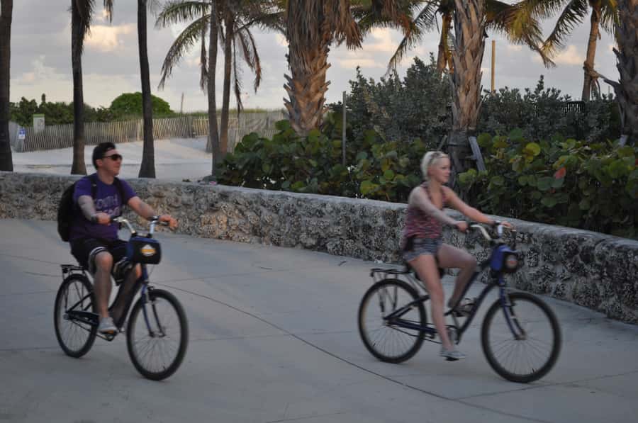 Miami: Bike Rental - Bike quality and comfort