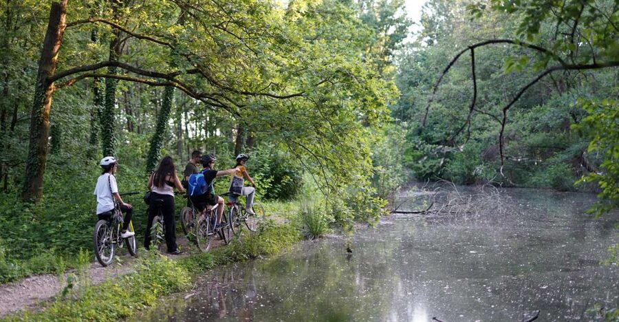 Milan: Bike Tour with Picnic on the turtle lake - Key points at a glance
