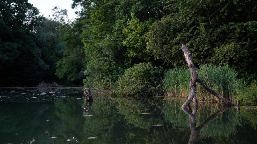 Milan: Bike Tour with Picnic on the turtle lake - Practical tips for a smoother ride