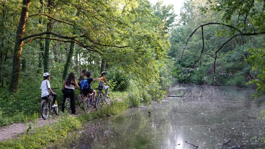 Milan: Bike Tour with Picnic on the turtle lake - Boscoincittà: woods, water, and the first picnic stop
