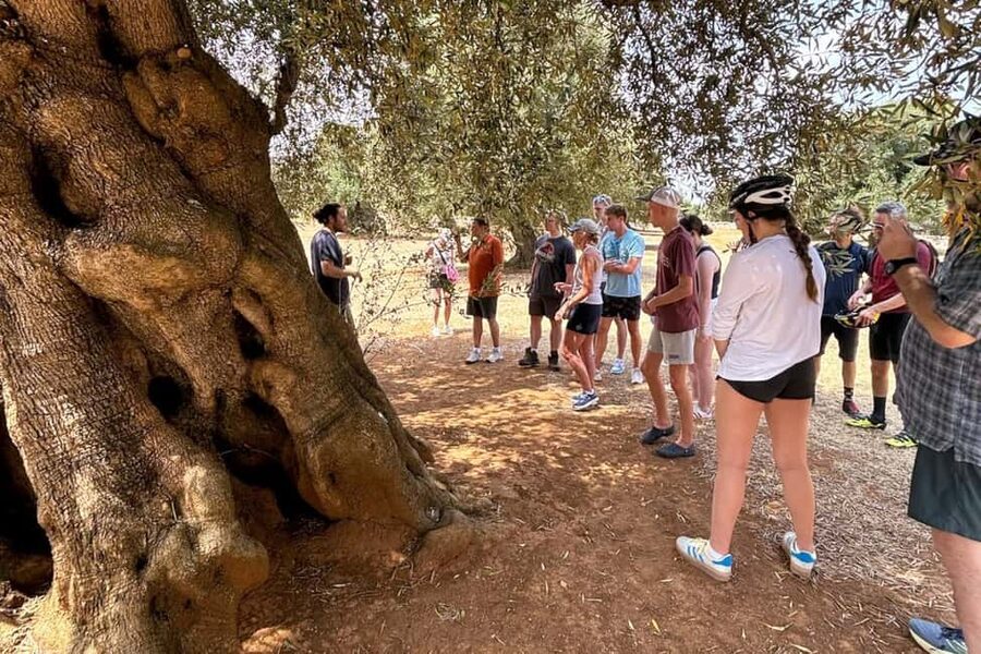 Monopoli: E-Bike Tour with Sandwich and Wine - Key points to know before booking