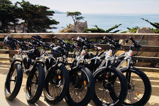 Monterey's 17 Mile Drive Guided Electric Bike Tour, 3 hr - Choosing between the family route and the intermediate ride