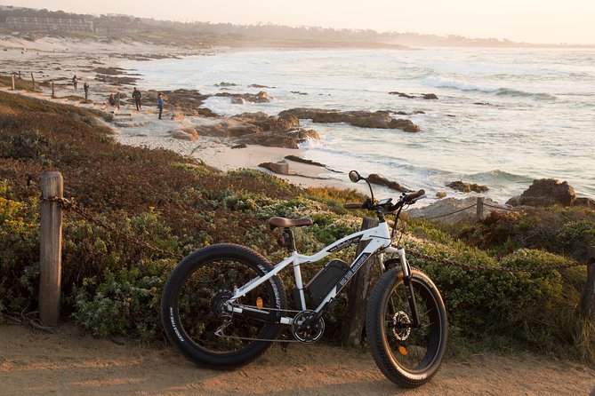 Monterey's 17 Mile Drive Guided Electric Bike Tour, 3 hr - Lone Cypress and the Pebble Beach section