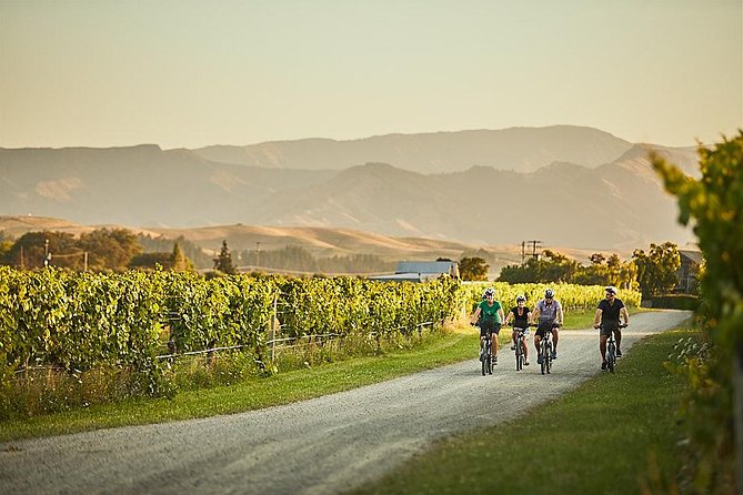 Morning Guided with Afternoon Self-Guided Biking Wine Tour - Flat roads and an easy cycling pace
