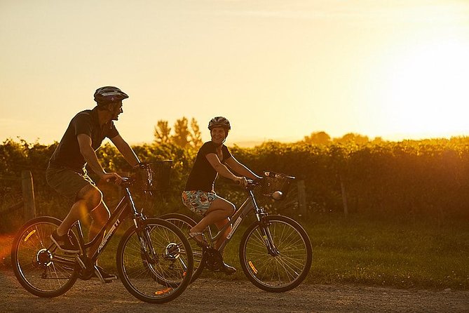 Morning Guided with Afternoon Self-Guided Biking Wine Tour - What the afternoon gives you
