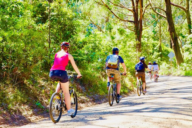 Mornington Peninsula Self-Guided Bike Tour | Food & Wine Region - Red Hill turns the ride into a food trail