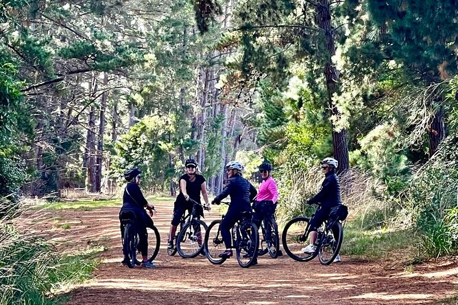 Mornington Peninsula Self-Guided Bike Tour | Food & Wine Region - The Merricks Red Hill Rail Trail is the scenic core