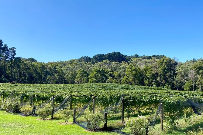 Mornington Peninsula Self-Guided Bike Tour | Food & Wine Region - What the equipment and support really add