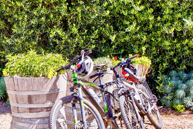 Mornington Peninsula Self-Guided Bike Tour | Food & Wine Region - Arthurs Seat views before the pedaling begins
