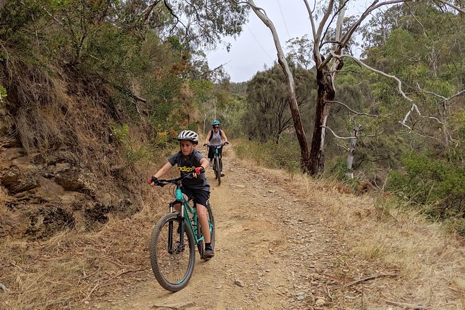 Mount Lofty Descent Bike Tour from Adelaide - Chambers Gully, ruins, and the route toward town